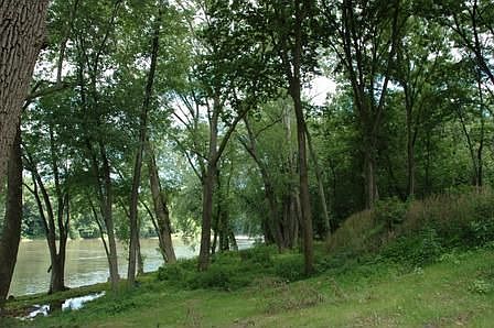 Shenandoah River view (property has 600 ft. of waterfront)