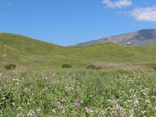 0 Dickenson Rd, Santa Paula, CA 93060