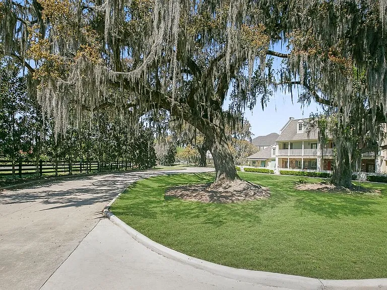 The Preserve at Old Dutchtown — Photo 28