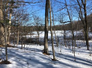 6142 N Sunshine Dr, Irons, MI 49644