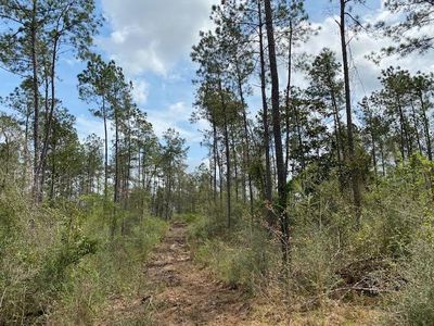 0 Hart Ln, Summit, MS, 39666