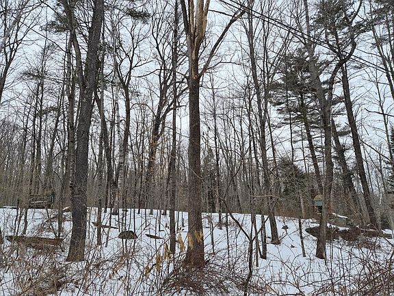 4th image of 8 Williams Road