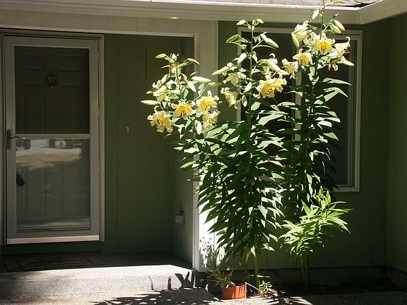 2nd image of 22342 Bluewater Dr SE