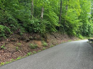 3 S Java Run Rd, Saint Marys, WV 26170
