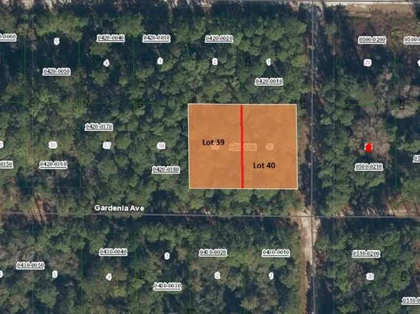 336 Gardenia Ave Lot 39, Georgetown, FL 32139