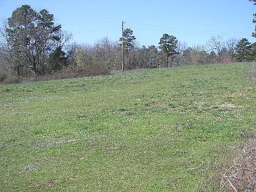 3rd image of 8566 Highway 71 S