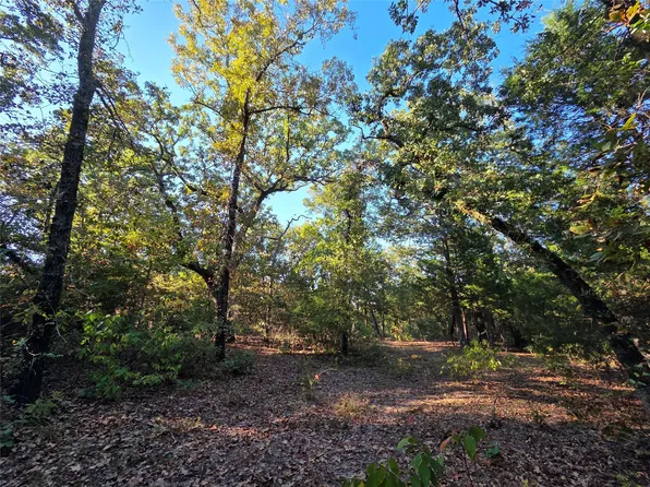 LOT 466 County Road 4710, Larue, TX 75770