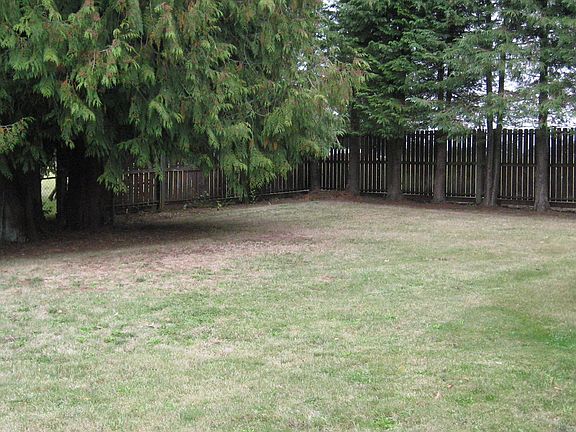4th image of 33508 SE 6th St