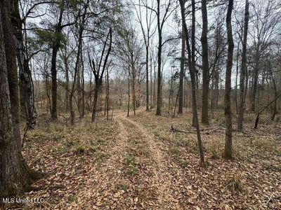 Sellars Rd, Smithdale, MS, 39664