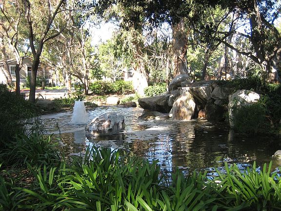 One of the waterfalls near your condo