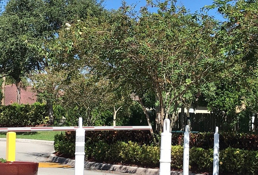 2nd image of 3324 NE 11th Dr