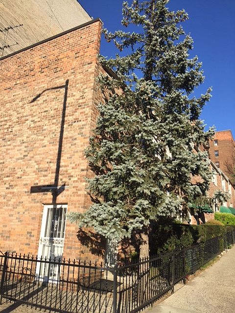 2nd image of 131 72nd St