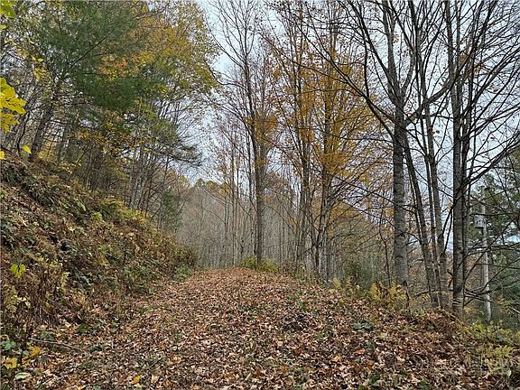 4th image of TBD Rominger Road