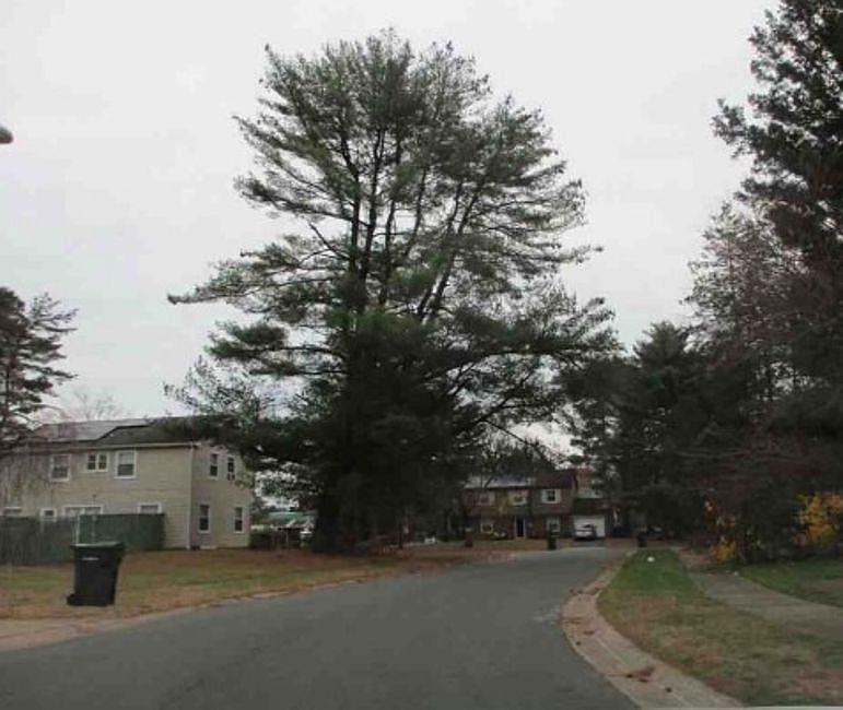 Exterior Neighborhood (street photo)