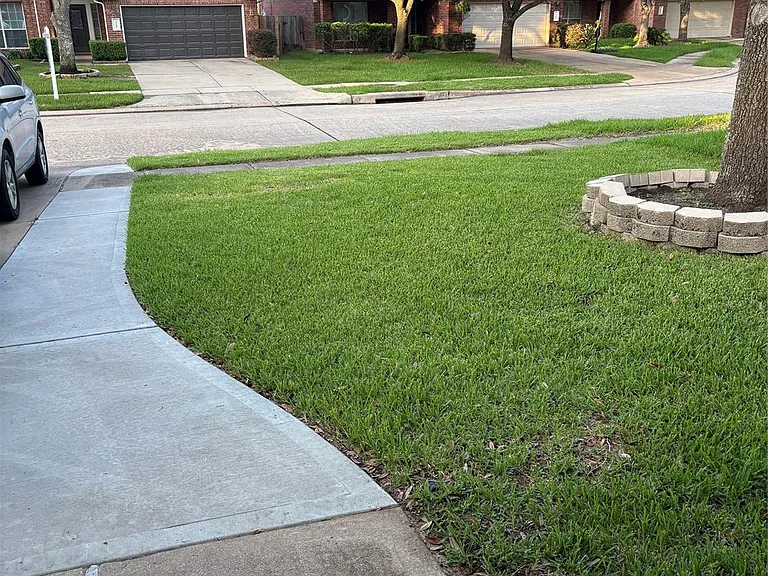 5122 Forest Sage Ln — Photo 11