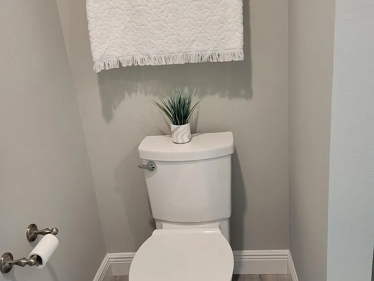 Master toilet area