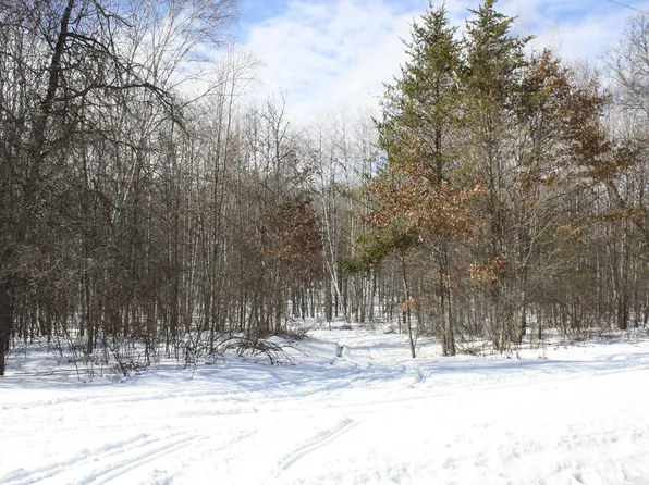 Rapids Rd, Lake Tomahawk, WI 54539