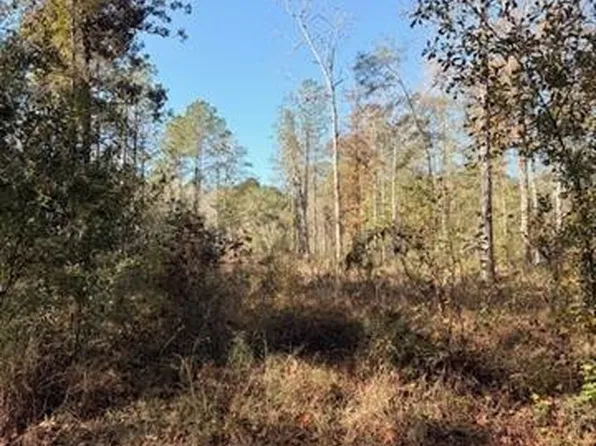42217 Pasqua Rd, Ponchatoula, LA 70454