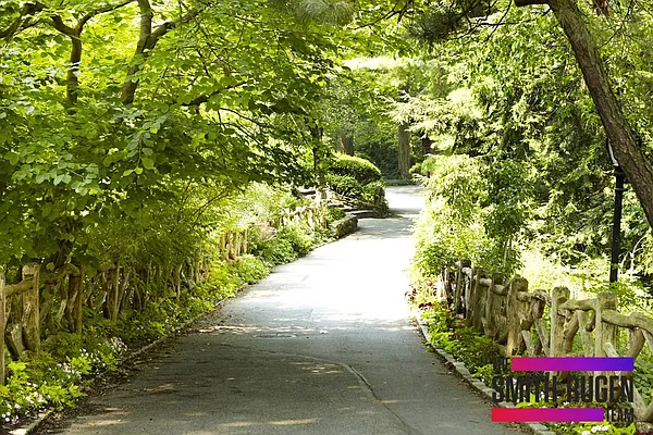 Rented by Zumper Inc | media 19