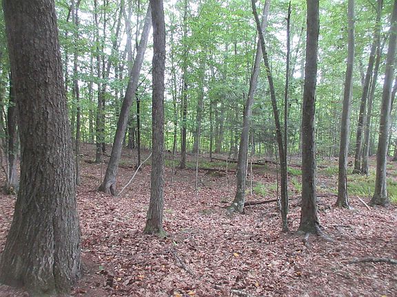 4th image of Chesley Hill Road Lot 4-2