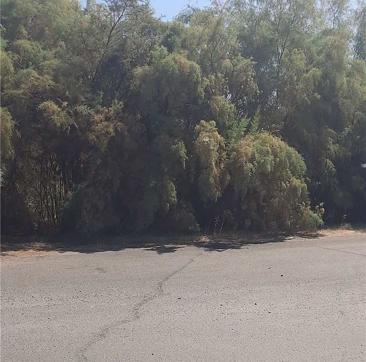 1st image of 0 Avenida Gaviota #1