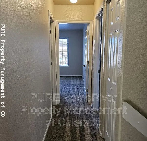 9394 Cove Creek Dr — Photo 10