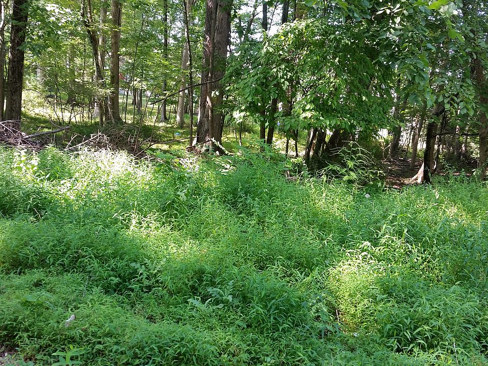 2nd image of Long Wood Dr. Lot Land