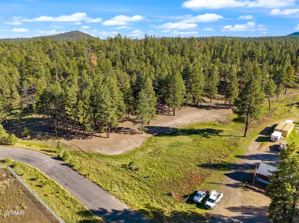 158 County Road 2266, Alpine, AZ 85920