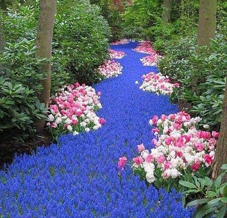 back path