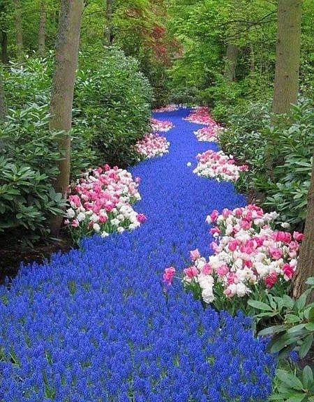 back path