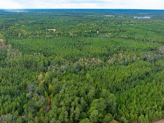 5th image of 0 Fortner Pond Rd Tract 2