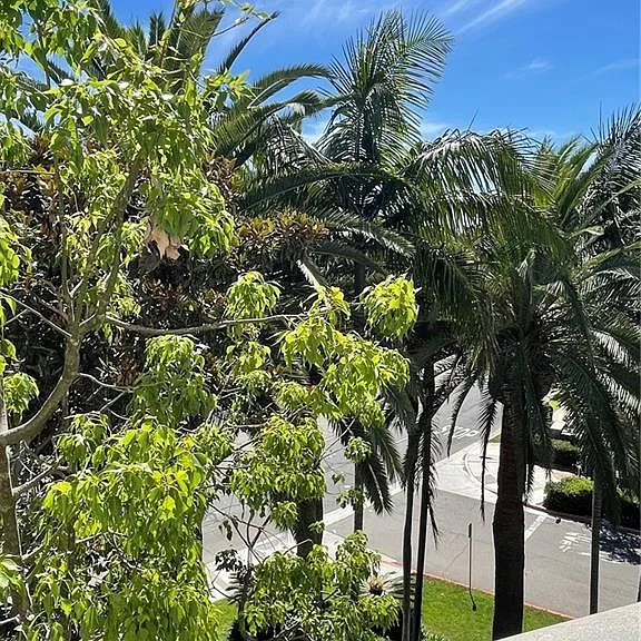 view from balcony