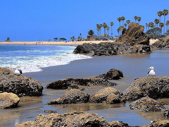 Steps to Main Beach