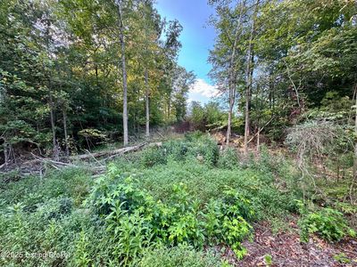 45 Clear Creek Dr, Boston, KY, 40107