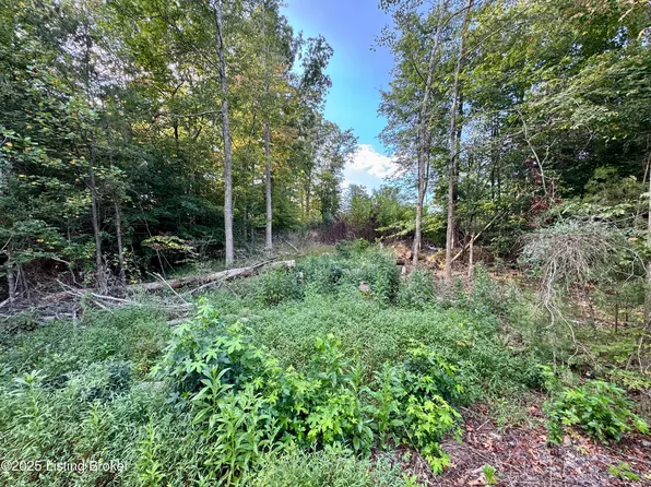 45 Clear Creek Dr, Boston, KY 40107