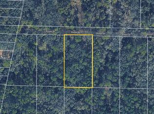 Pinon Dr, Webster, FL 33597