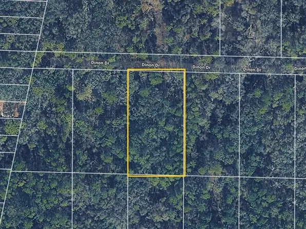 Pinon Dr, Webster, FL 33597