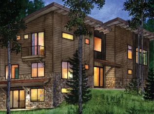 9 E Benjamin Point Rd, Silverthorne, CO 80498