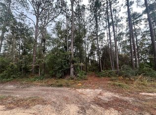 Susan St LOT 1, Interlachen, FL 32148