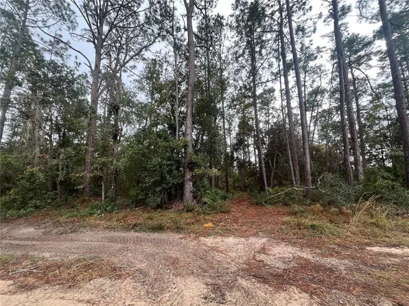 Susan St Lot 1, Interlachen, FL 32148