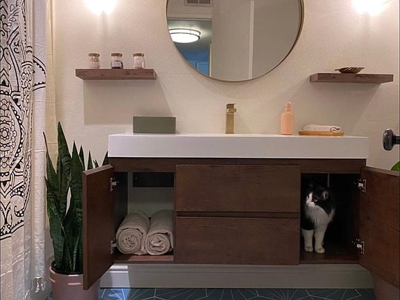 guest bathroom (kitty_s name is Timmy)