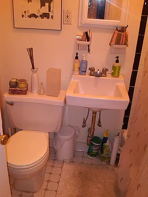 Rented by Alta Real Estate | media 51