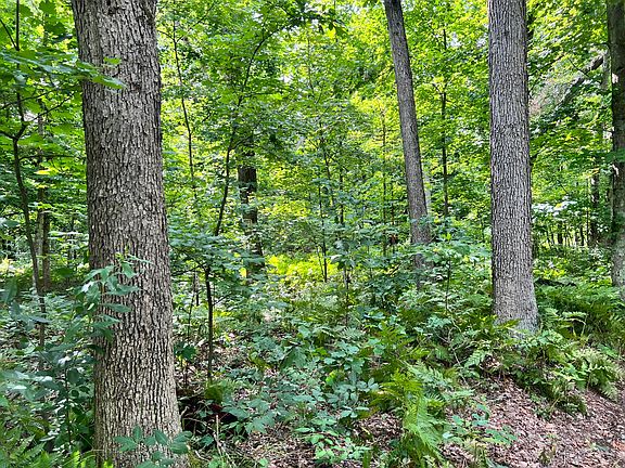 5th image of V/l S Woodland Dr
