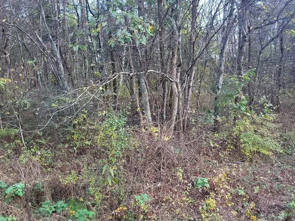 0 Barlow Ln, Lascassas, TN 37085