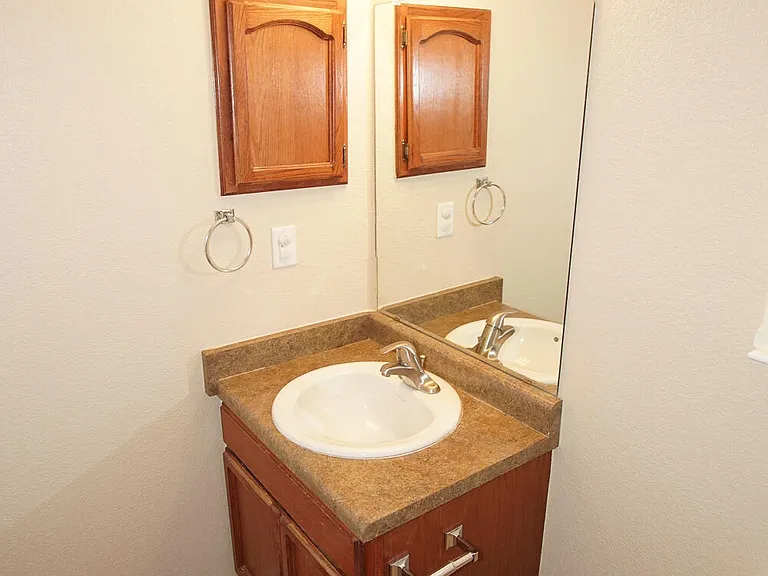 7133 Mesquite Tree Ln — Photo 8