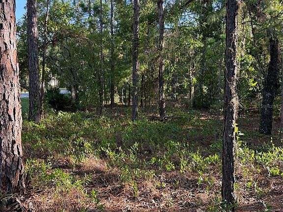 5th image of 2005 CR 243E LOT 3
