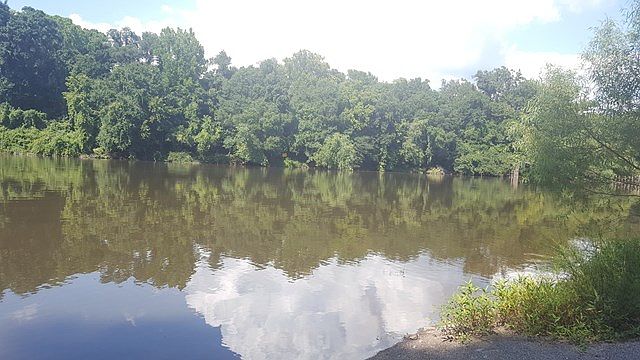 2nd image of 309 Rivers Run