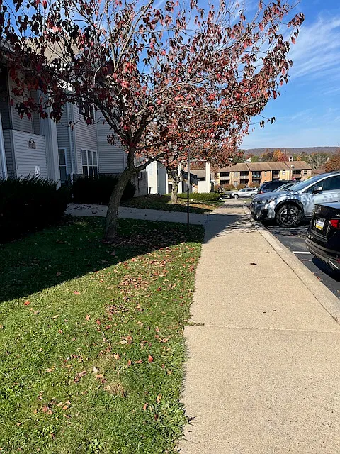 3 bed, 950 sqft, $1,563 — Photo 2