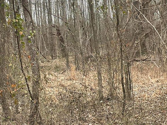 5th image of Looxahoma Tyro Rd Lot 16
