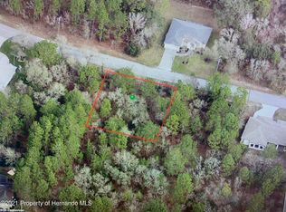 20 Pagoda Dr, Homosassa, FL 34446